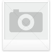 Bild 1 von Trauerkarten  / (Motivauswahl) Layoutkosten für Eindruck / (Kartonauswahl) keine Auswahl erforderlich / (Eindruck) Layoutkosten